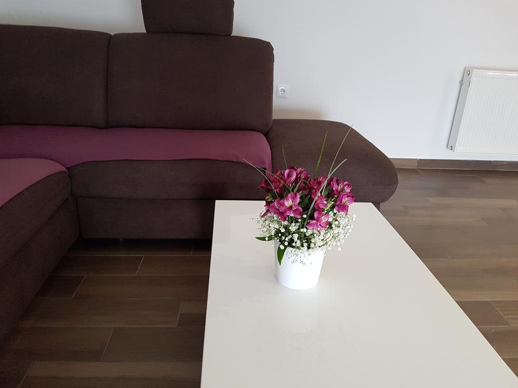 Apartments Tereza セニ エクステリア 写真